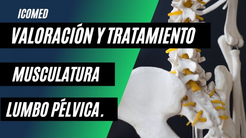 Curso de Valoración y Tratamiento de la Musculatura Lumbo Pélvica. (OST3)