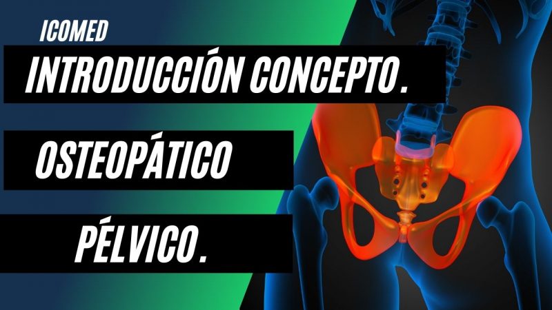 Curso de Introducción al Concepto Osteopático Pélvico. (OST4)
