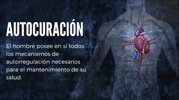 Principios de Osteopatía. Autocuración