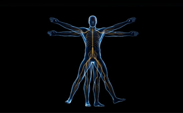 Filosofía de la Osteopatía