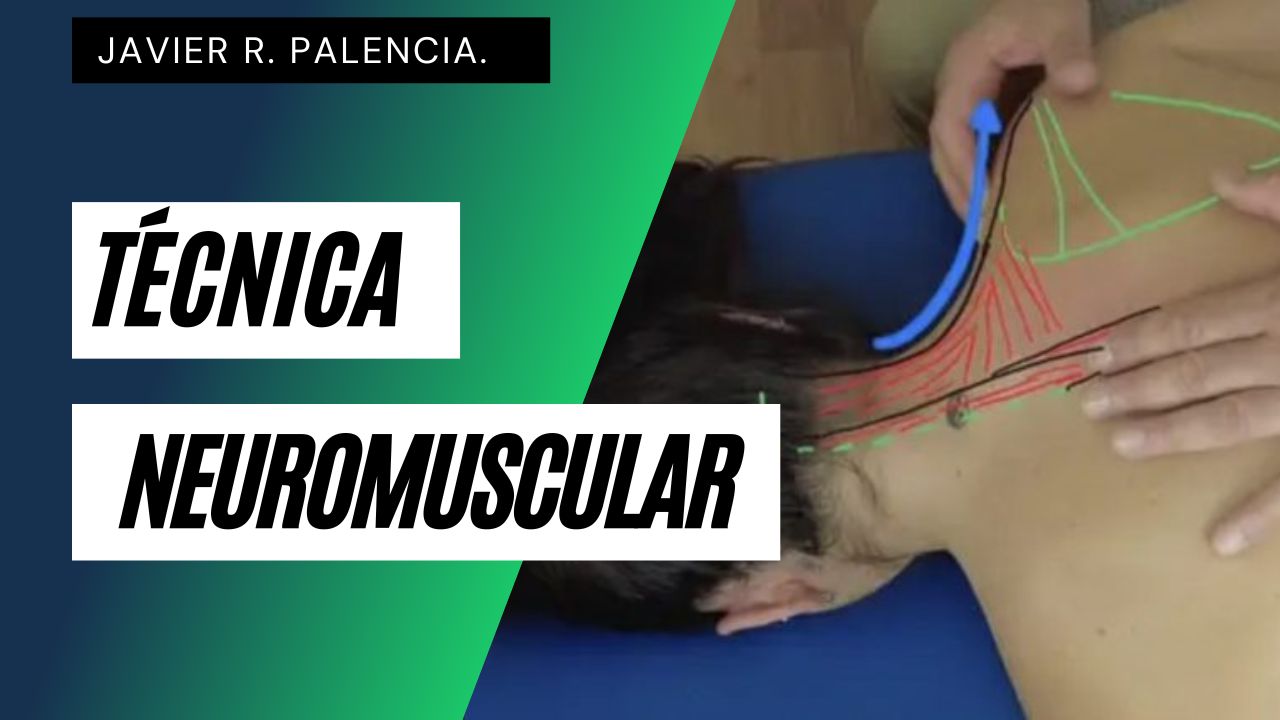 LA TÉCNICA NEUROMUSCULAR