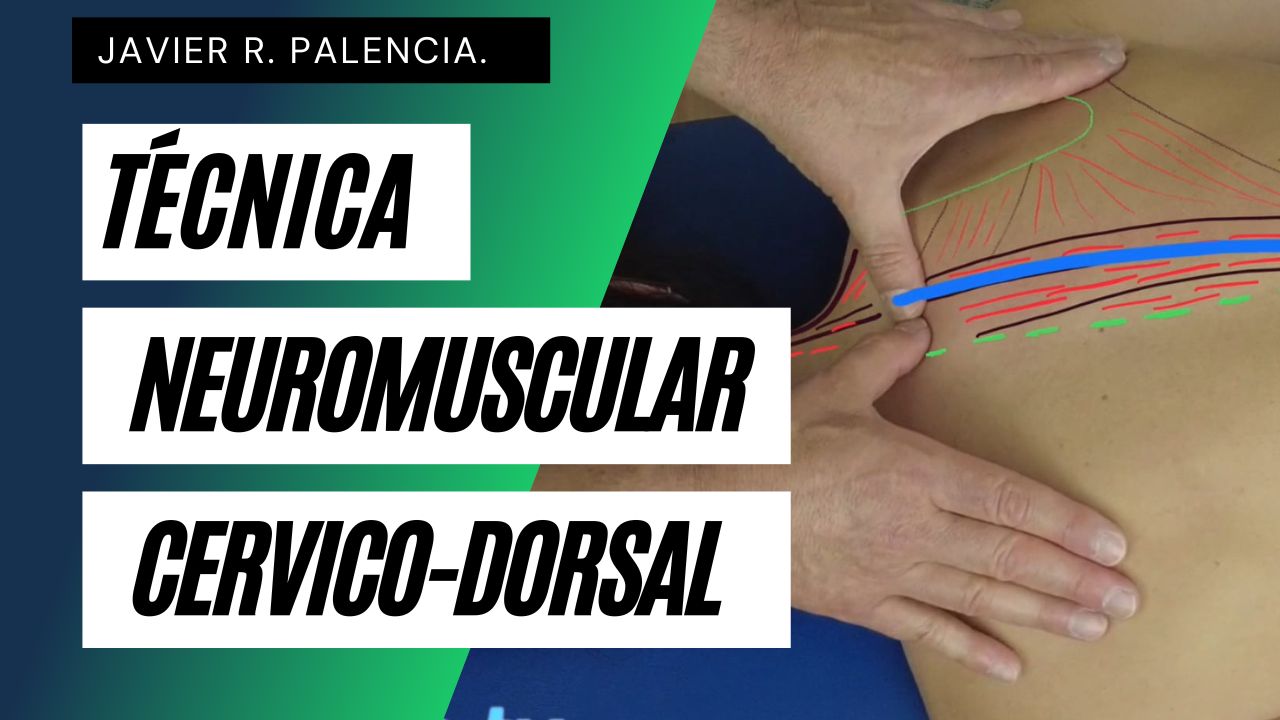 TECNICA NEUROMUSCULAR CERVICO-DORSAL