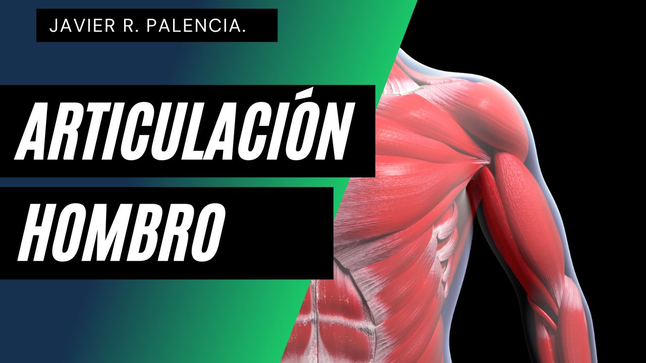 La articulación del hombro. Introducción al concepto biomecánico y repaso anatómico.