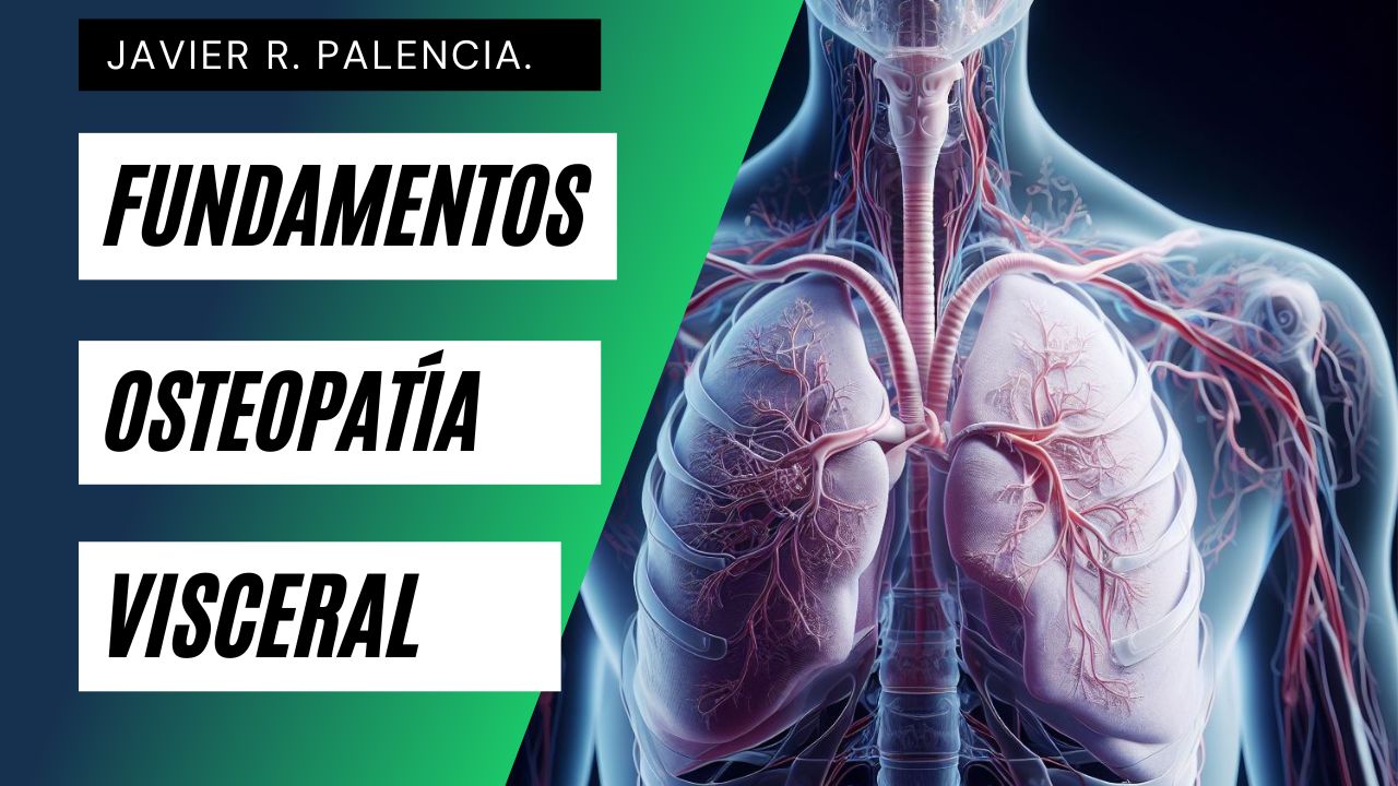 Fundamentos de Osteopatía Visceral: Introducción y Conceptos Clave. (OTV1)