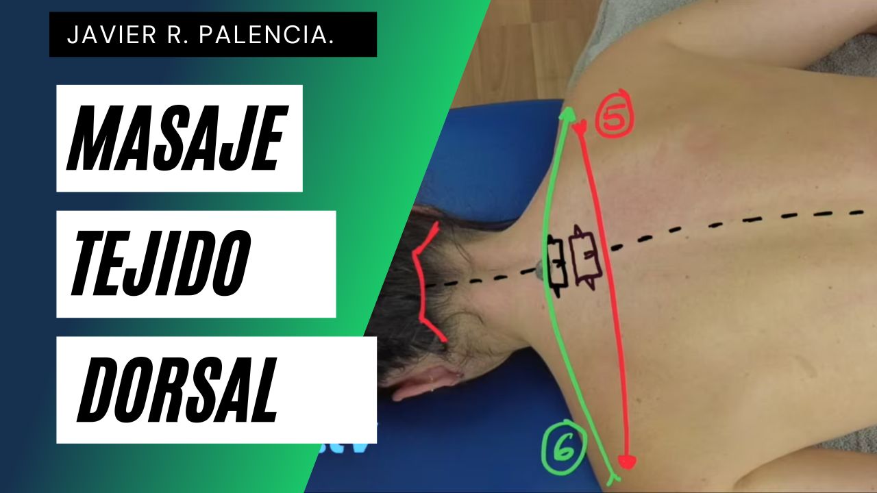 Curso de Masaje de TEJIDO CONJUNTIVO.  CONSTRUCCIÓN DORSAL