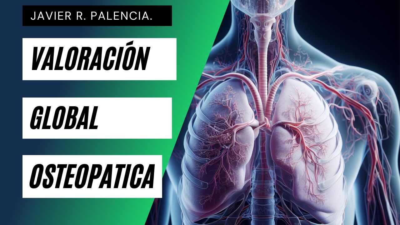 LA VALORACIÓN GLOBAL OSTEOPÁTICA