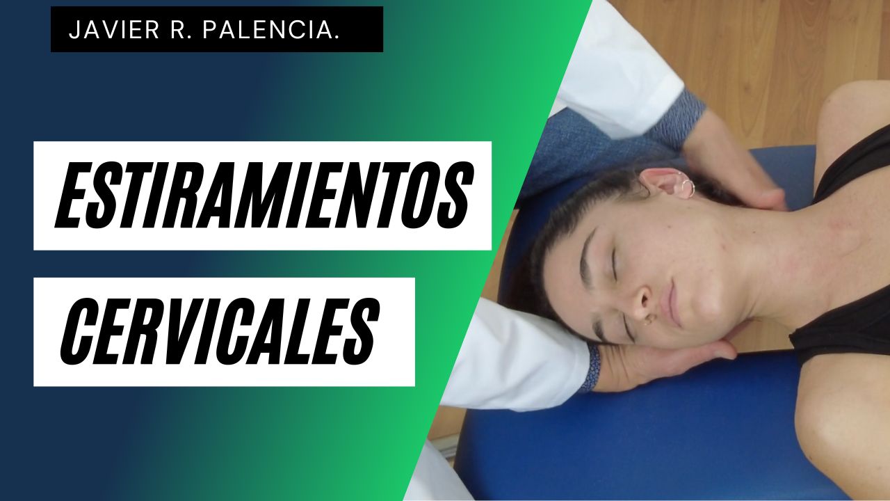 Curso Estiramientos Cervicales