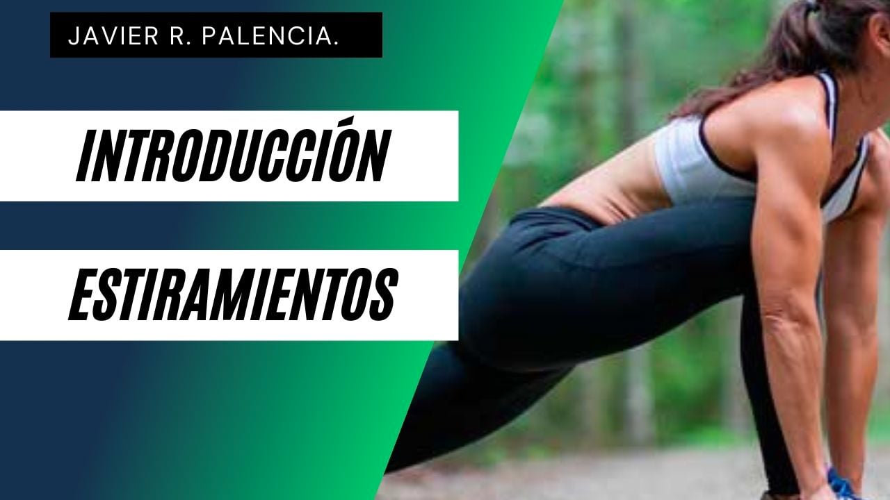 Curso Bases Teóricas de los Estiramientos